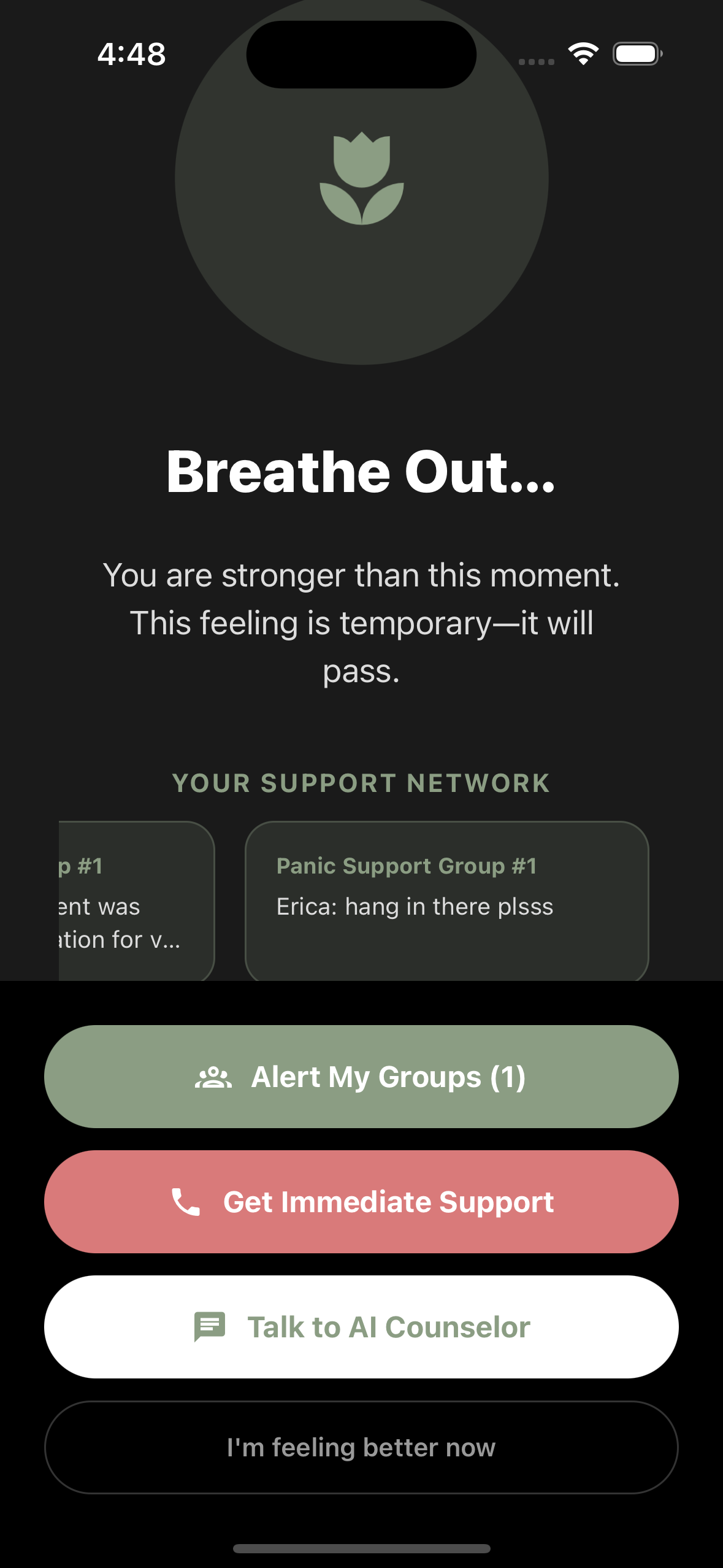 Panic Button Interface